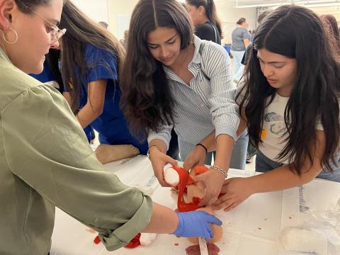 Pre-med students practice stopping the bleed at UCSF Fresno Mini Med School 