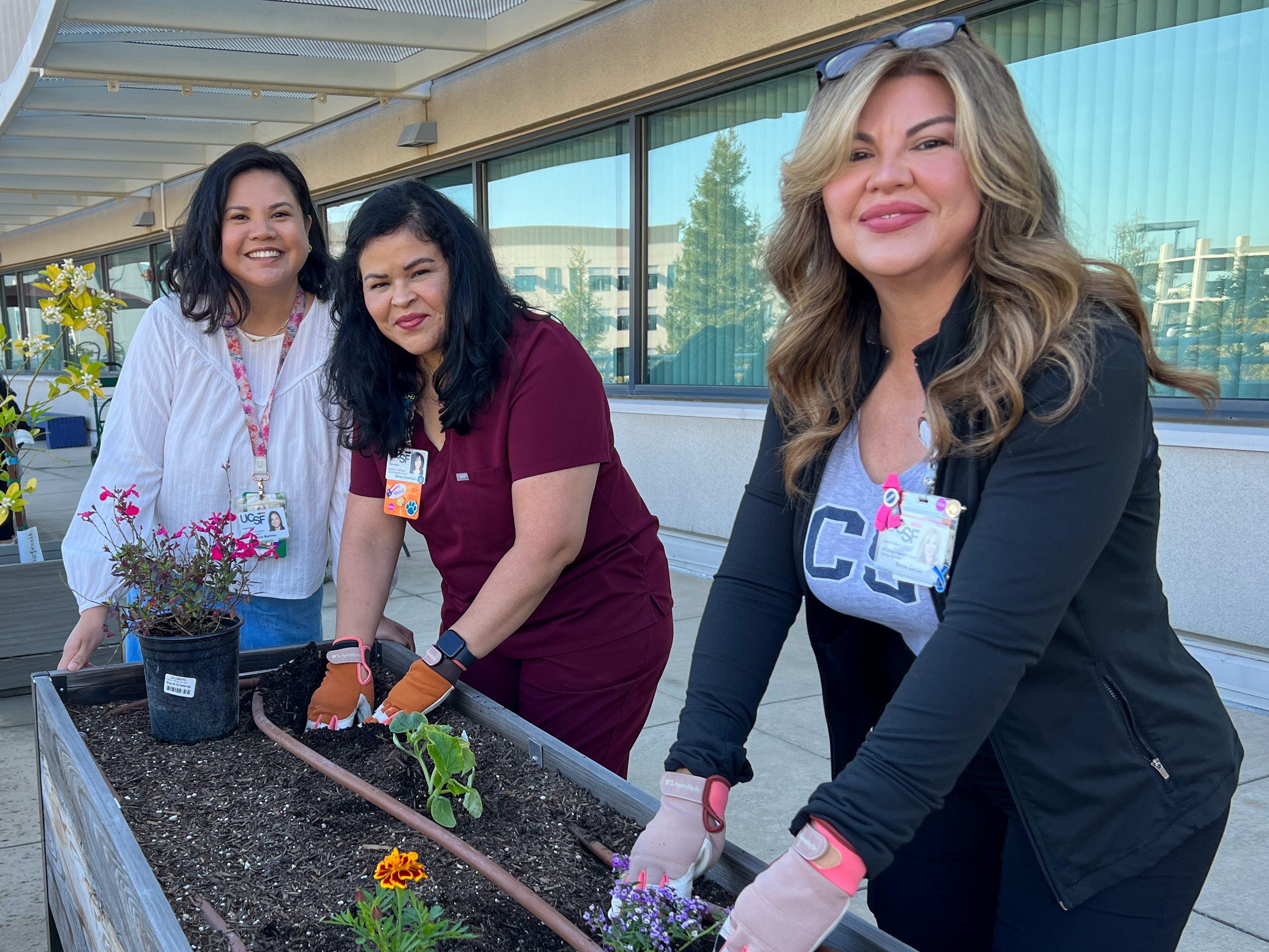 UCSF Fresno Gardening Club getting their hands dirty.